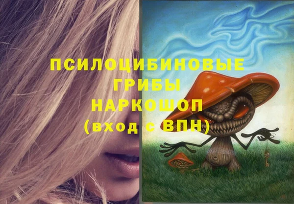 меф Каменногорск