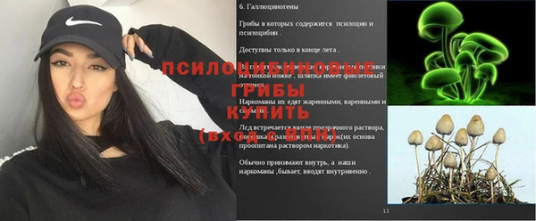 меф Каменногорск