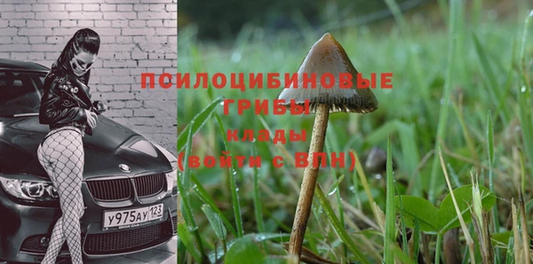 спайс Каменск-Шахтинский