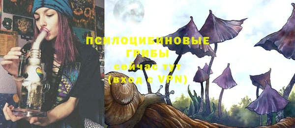 меф Каменногорск