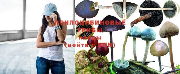 меф Каменногорск