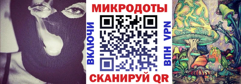 Купить закладки  Гудермес  Псилоцибиновые грибы Cubensis 